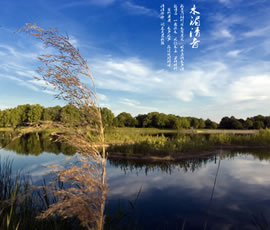 新義水鄉(xiāng)中醫(yī)藥浴康養(yǎng)、黃龍溪古鎮(zhèn)二日游