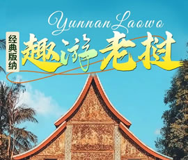 【趣游老撾 · 經典版納】—昆明、普洱、西雙版納、磨丁、瑯勃拉邦四動8日游